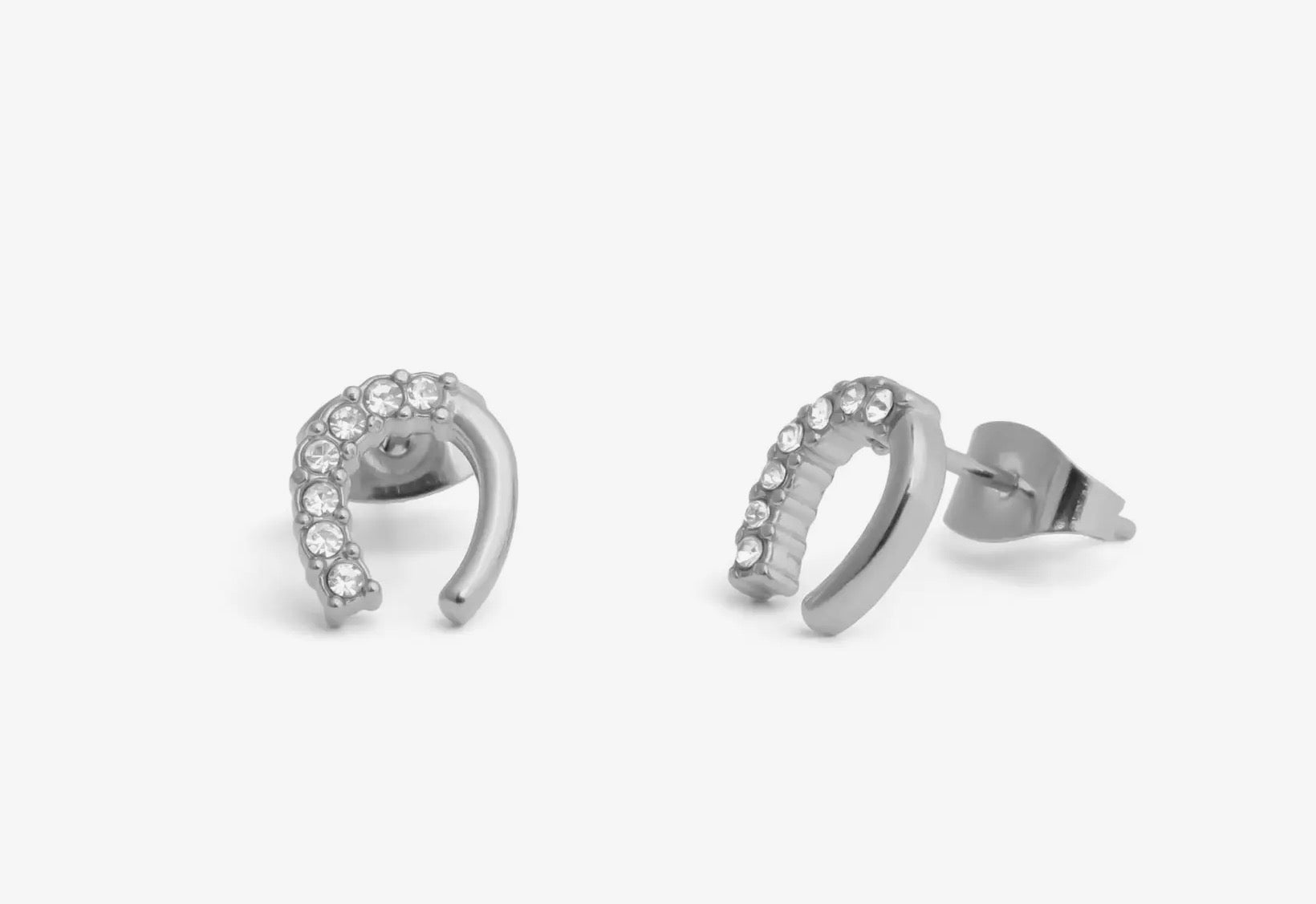 Horse Shoe Stone Earrings