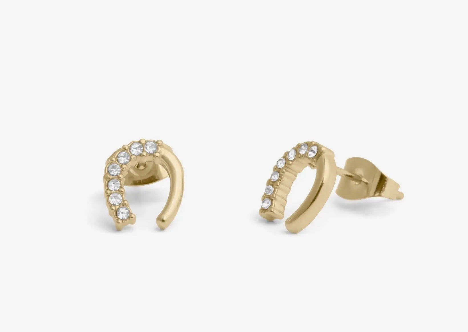 Horse Shoe Stone Earrings